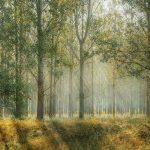 Installera solceller för din personlig elförbrukning