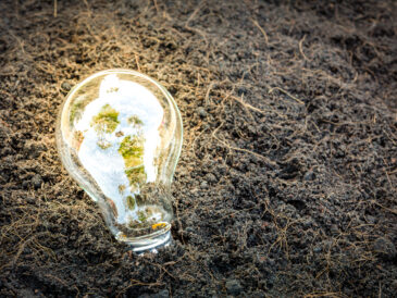 Glödlampa på gräs