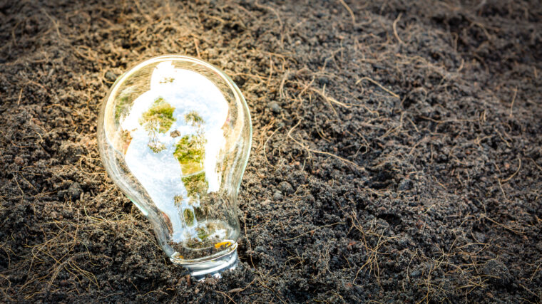 Glödlampa på gräs